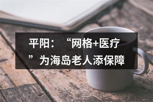 平阳：“网格+医疗”为海岛老人添保障