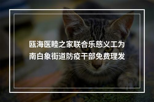 瓯海医睦之家联合乐慈义工为南白象街道防疫干部免费理发