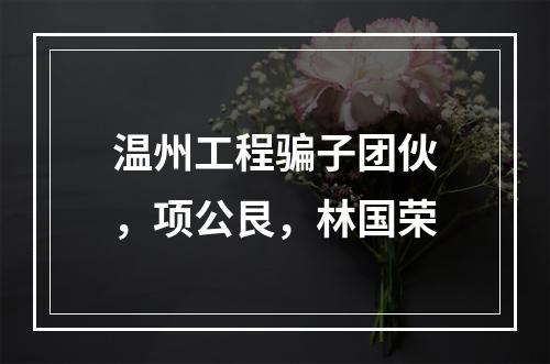 温州工程骗子团伙，项公艮，林国荣