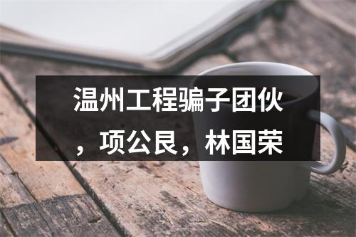 温州工程骗子团伙，项公艮，林国荣