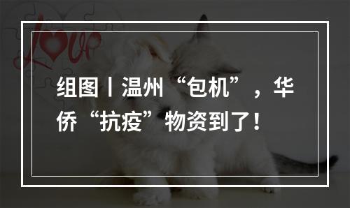 组图丨温州“包机”，华侨“抗疫”物资到了！