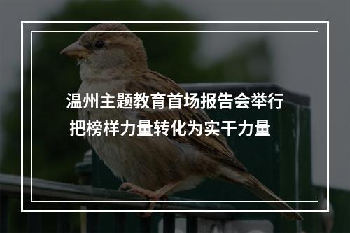温州主题教育首场报告会举行 把榜样力量转化为实干力量