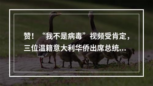 赞！“我不是病毒”视频受肯定，三位温籍意大利华侨出席总统府音乐会