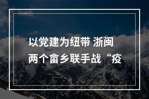 以党建为纽带 浙闽两个畲乡联手战“疫