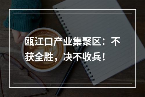 瓯江口产业集聚区：不获全胜，决不收兵！