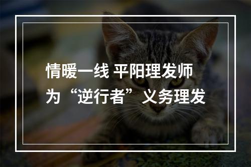 情暖一线 平阳理发师为“逆行者”义务理发