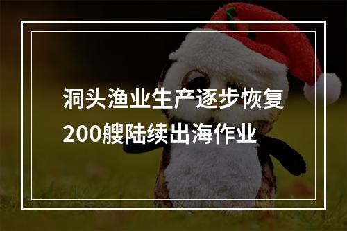 洞头渔业生产逐步恢复200艘陆续出海作业