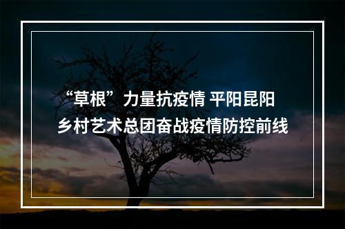 “草根”力量抗疫情 平阳昆阳乡村艺术总团奋战疫情防控前线
