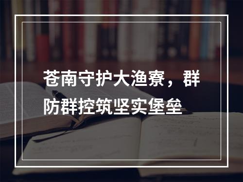 苍南守护大渔寮，群防群控筑坚实堡垒