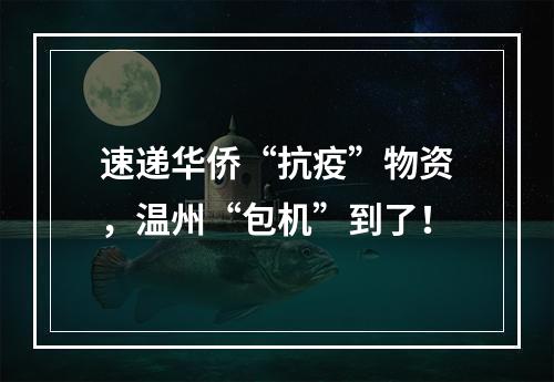 速递华侨“抗疫”物资，温州“包机”到了！