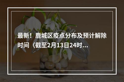 最新！鹿城区疫点分布及预计解除时间（截至2月13日24时）