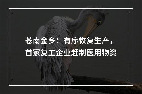 苍南金乡：有序恢复生产，首家复工企业赶制医用物资
