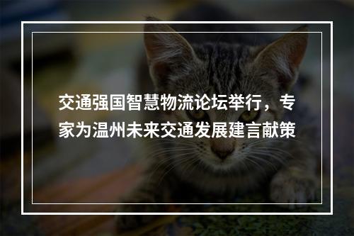 交通强国智慧物流论坛举行，专家为温州未来交通发展建言献策