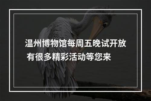 温州博物馆每周五晚试开放 有很多精彩活动等您来