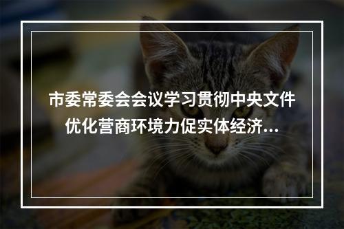 市委常委会会议学习贯彻中央文件　优化营商环境力促实体经济发展