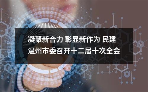 凝聚新合力 彰显新作为 民建温州市委召开十二届十次全会