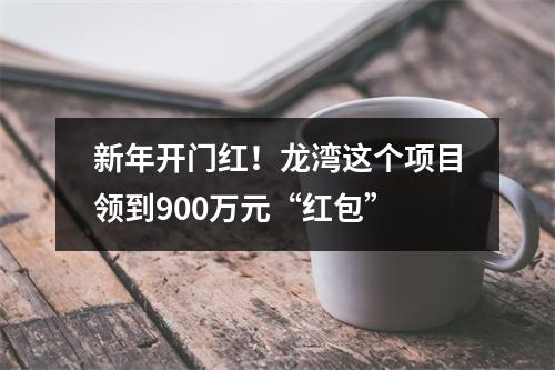 新年开门红！龙湾这个项目领到900万元“红包”