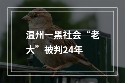 温州一黑社会“老大”被判24年