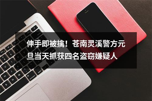 伸手即被擒！苍南灵溪警方元旦当天抓获四名盗窃嫌疑人