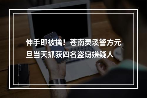 伸手即被擒！苍南灵溪警方元旦当天抓获四名盗窃嫌疑人