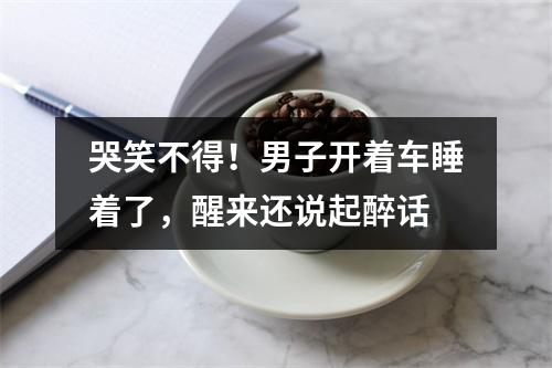 哭笑不得！男子开着车睡着了，醒来还说起醉话