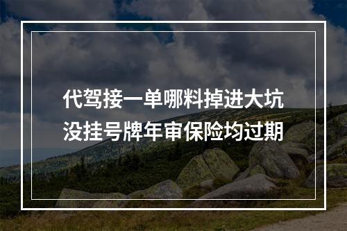代驾接一单哪料掉进大坑没挂号牌年审保险均过期