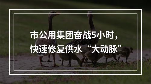市公用集团奋战5小时，快速修复供水“大动脉”