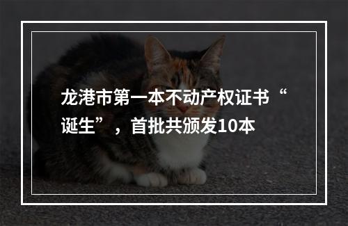龙港市第一本不动产权证书“诞生”，首批共颁发10本