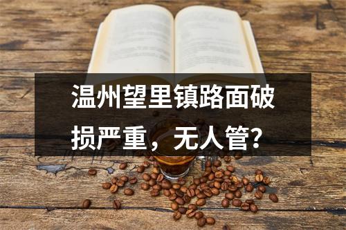 温州望里镇路面破损严重，无人管？