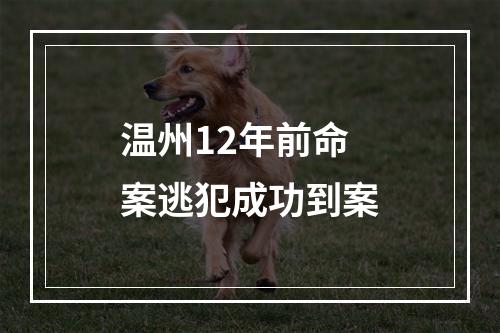温州12年前命案逃犯成功到案