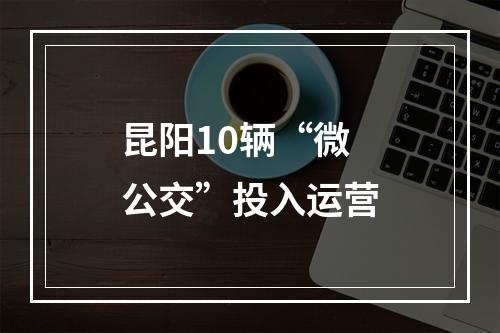 昆阳10辆“微公交”投入运营