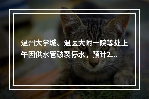 温州大学城、温医大附一院等处上午因供水管破裂停水，预计2小时后恢复供水