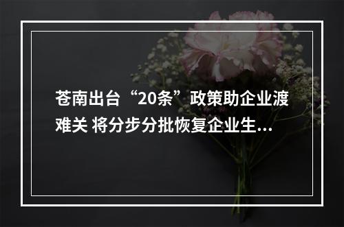 苍南出台“20条”政策助企业渡难关 将分步分批恢复企业生产