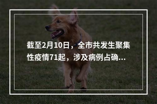 截至2月10日，全市共发生聚集性疫情71起，涉及病例占确诊总数五成以上