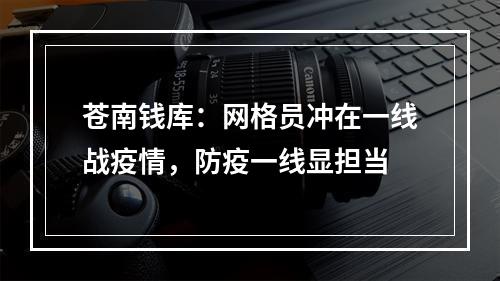 苍南钱库：网格员冲在一线战疫情，防疫一线显担当