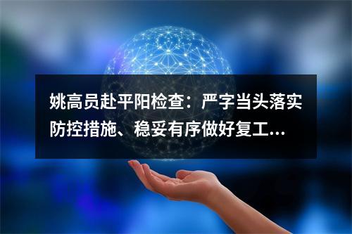 姚高员赴平阳检查：严字当头落实防控措施、稳妥有序做好复工准备