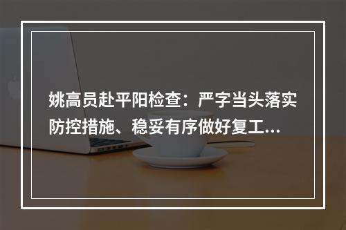 姚高员赴平阳检查：严字当头落实防控措施、稳妥有序做好复工准备