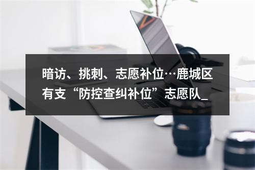 暗访、挑刺、志愿补位…鹿城区有支“防控查纠补位”志愿队_