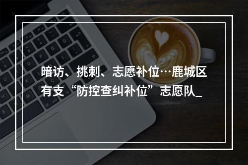 暗访、挑刺、志愿补位…鹿城区有支“防控查纠补位”志愿队_