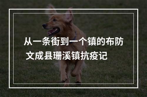 从一条街到一个镇的布防 文成县珊溪镇抗疫记