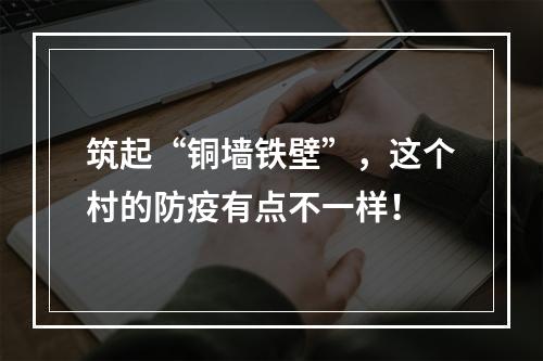 筑起“铜墙铁壁”，这个村的防疫有点不一样！
