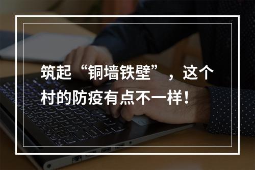 筑起“铜墙铁壁”，这个村的防疫有点不一样！