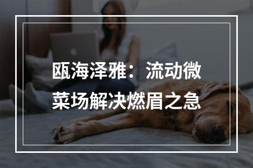 瓯海泽雅：流动微菜场解决燃眉之急