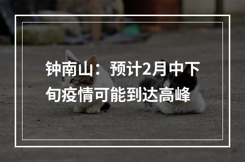 钟南山：预计2月中下旬疫情可能到达高峰