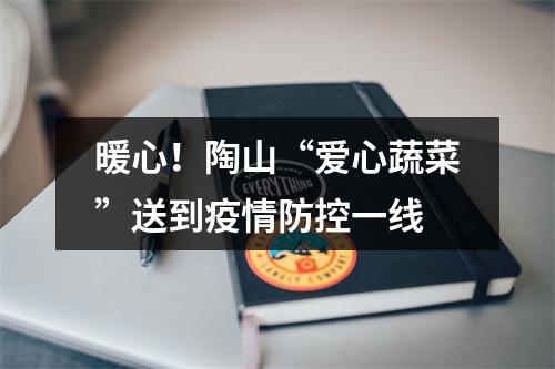 暖心！陶山“爱心蔬菜”送到疫情防控一线