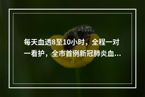 每天血透8至10小时，全程一对一看护，全市首例新冠肺炎血透患者是这么治疗的
