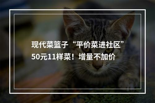 现代菜篮子“平价菜进社区”50元11样菜！增量不加价