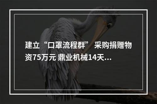 建立“口罩流程群” 采购捐赠物资75万元 鼎业机械14天的洲际接力