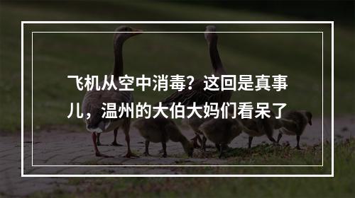 飞机从空中消毒？这回是真事儿，温州的大伯大妈们看呆了