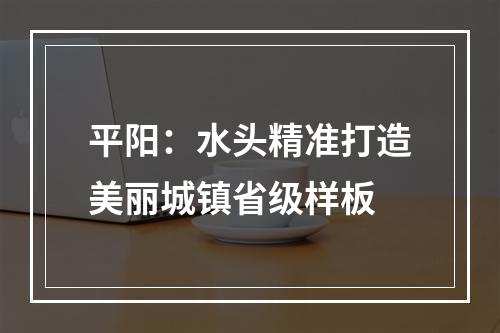平阳：水头精准打造美丽城镇省级样板